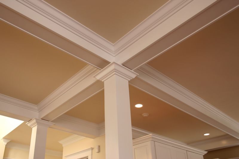 Decorative Ceiling Features